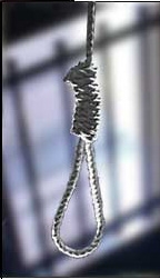 noose noose